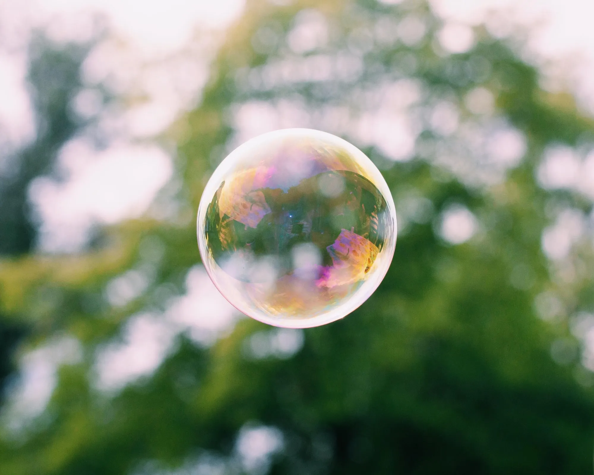A single soap bubble in front of green foliage.
